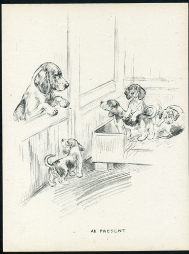 Beagle and puppies vintage - beagle,