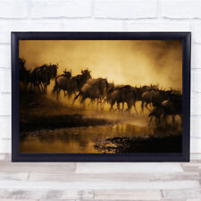 Nature Wildlife Wildebeest Migration Safari Kenya Great Panorama Wall Art Print