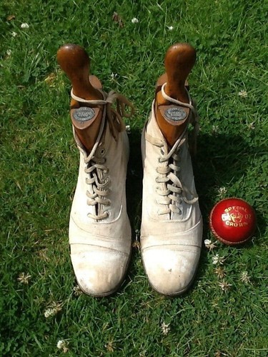 Cricket