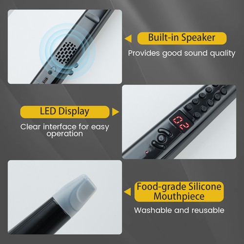 Electronic wind instrument - wind,