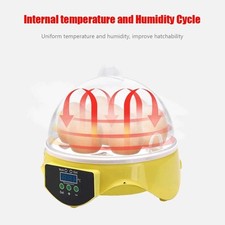 Small Home Egg Incubator