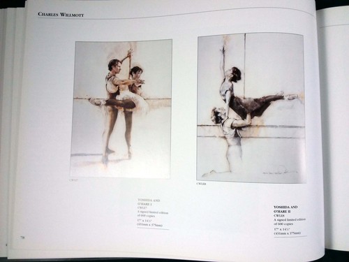 Limited edition prints - limited,