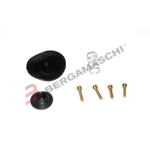 Fuel tap revision kit honda - tap, gl