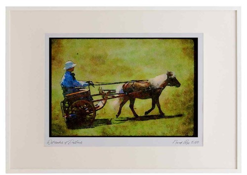 Horse 197030 shetland pony and - 197030,