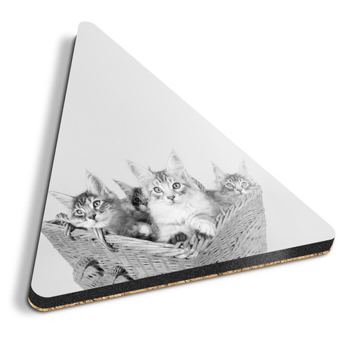 Triangle coaster bw - coaster,