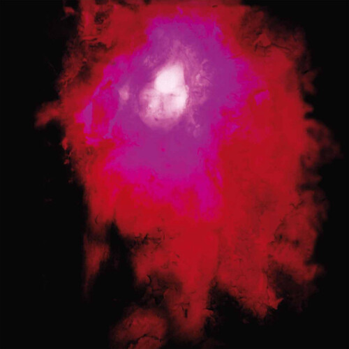 Porcupine tree up the - tree, :