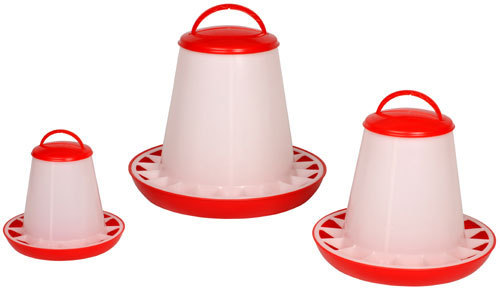 3kg feeder chicken - /, chick