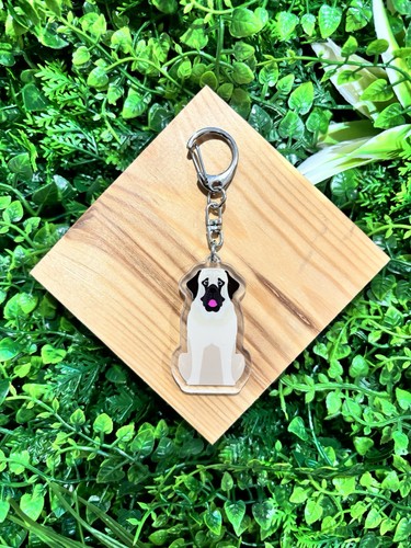English bullmastiff dog - english,