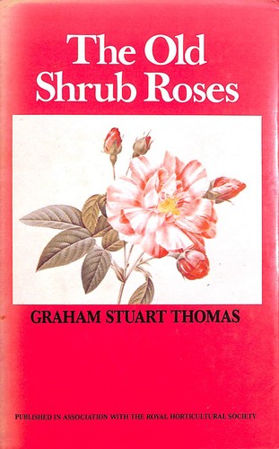 Old shrub roses thomas - old,