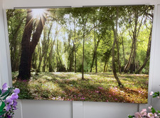WOODLAND FOREST GLADE COPSE AT SUNRISE STRETCH CANVAS ART PICTURE 46" W x 31" H