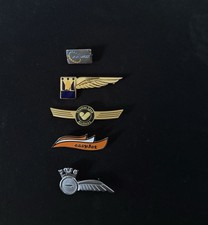 Cabin Crew Wings