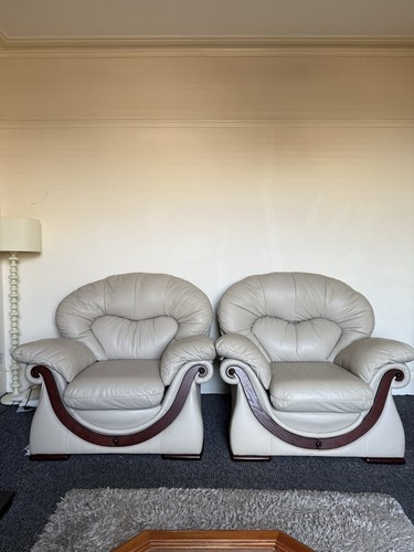 Leather armchairs pair - pair, in