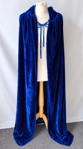 Blue velvet hooded - hooded, royal