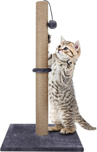 Tall large cat - large,