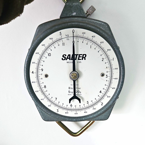 Vintage salter model - model, 235