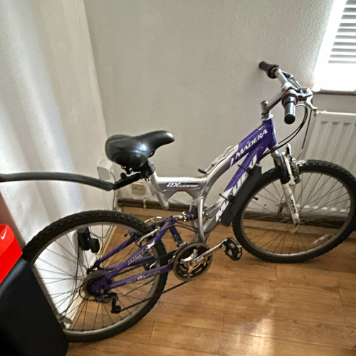 Raleigh max 26in - m, mountain