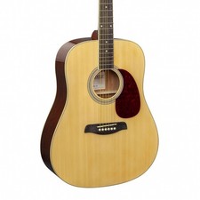 Brunswick BD200 Dreadnought