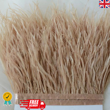 1M Ostrich Feather Fringe Trim | 36 Colour Options | Hat, Dress, Costume & DIY C
