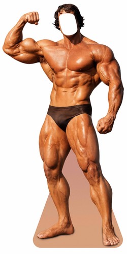 Arnold schwarzenegger pumping - arnold,