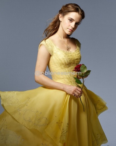 8x10 emma watson glossy - glossy, photo