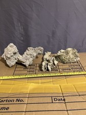 LR18 Dead Coral Reef Bone