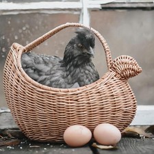 Egg Basket Multi Purpose