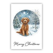 Chesapeake Bay Retriever