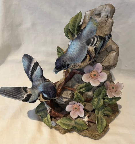 Two blue and back - birds, on