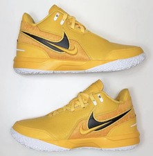 Nike LeBron NXXT Gen TB