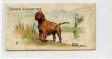 (Gd5622) Cope, Dogs of the World, (Scandinavian), #21 Irish Water Spaniel 1912 G