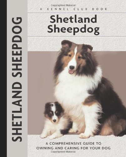 Shetland sheepdog a - shetland, sheepdog: