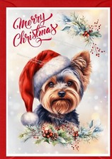 Yorkshire Terrier / Yorkie Dog