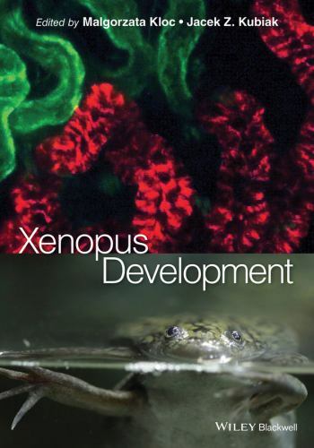 Xenopus development - xenopus,