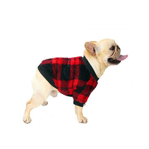 Winter warm pet dog - winter,