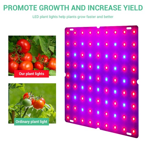 Led grow light kit - light, full