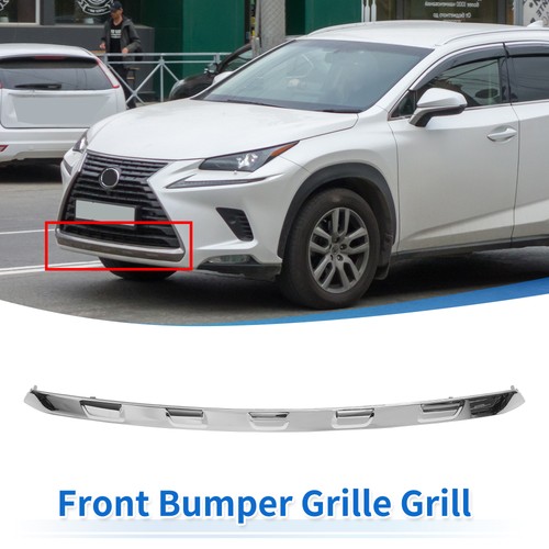 Front lower grille - trim, hood