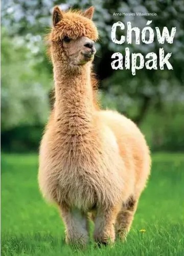 Chów alpak multico - chów,