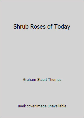 Shrub roses today - shrub,