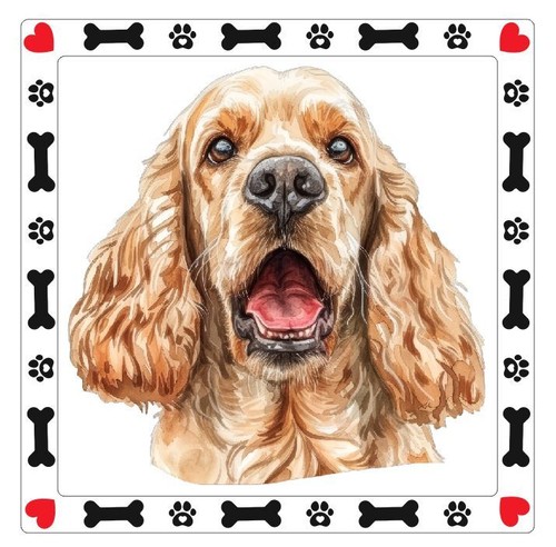 American cocker spaniel dog - cocker,