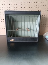 Vintage Show Bird Carrier Box