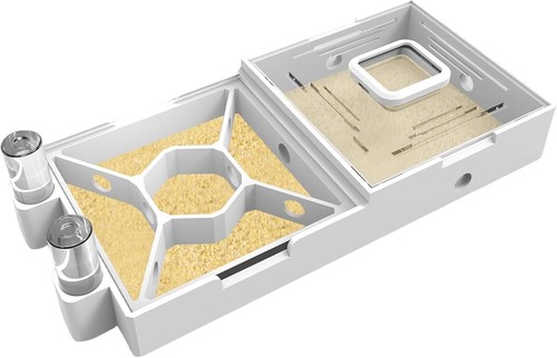 Ant farm with live ants - ant,