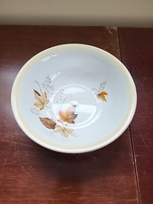 Vtg Alfred Meakin Autumn Glory