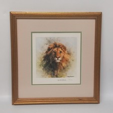 David Shepherd Signed Print Lion The Cameo Collection Frames 13¹/²"x13" 20/1000