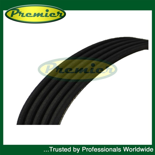 Premier alternator belt fits - belt,