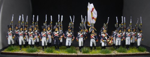 28mm perry spanish napoleonic - spanish,