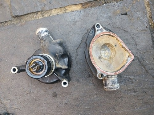 Triumph 955 tiger engine - tiger,