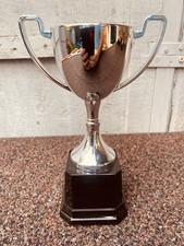 🏆 Silver Swatkins Trophy