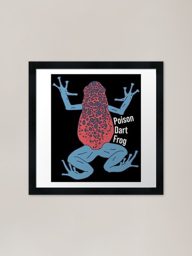 Poison dart frog - frog, exotic