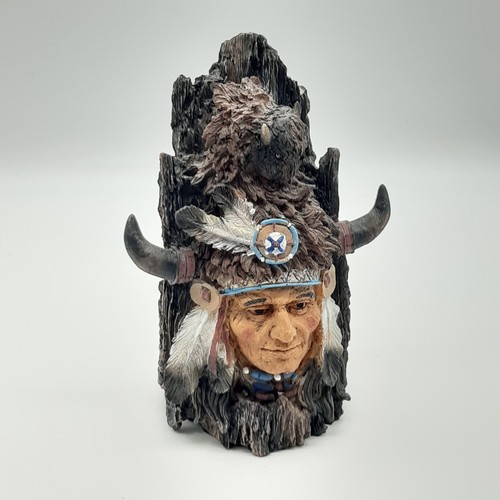 Native american indian chief - native,