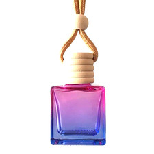 Empty Hanging Car Diffuser